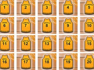 Ya cuelgan las primeras camisetas de nuestros amig@s en el techo del Solobasket.com Arena