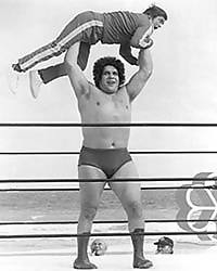 Equipo: espíritu, liderazgo, colectivo e inteligencia