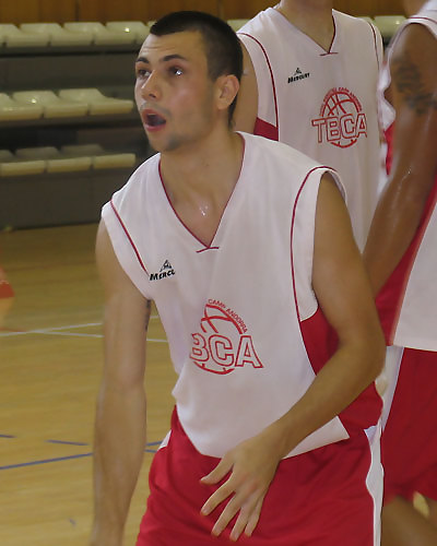 Informes de BASES del TBCA