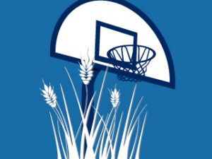 El mejor baloncesto de la Liga Endesa, en tu pueblo