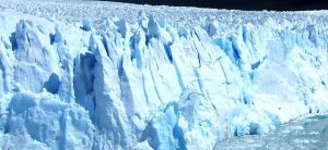 El General Invierno: Maurice Podoloff