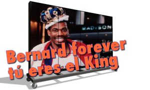 Vídeos: Bernard forever, porque tú eres el King