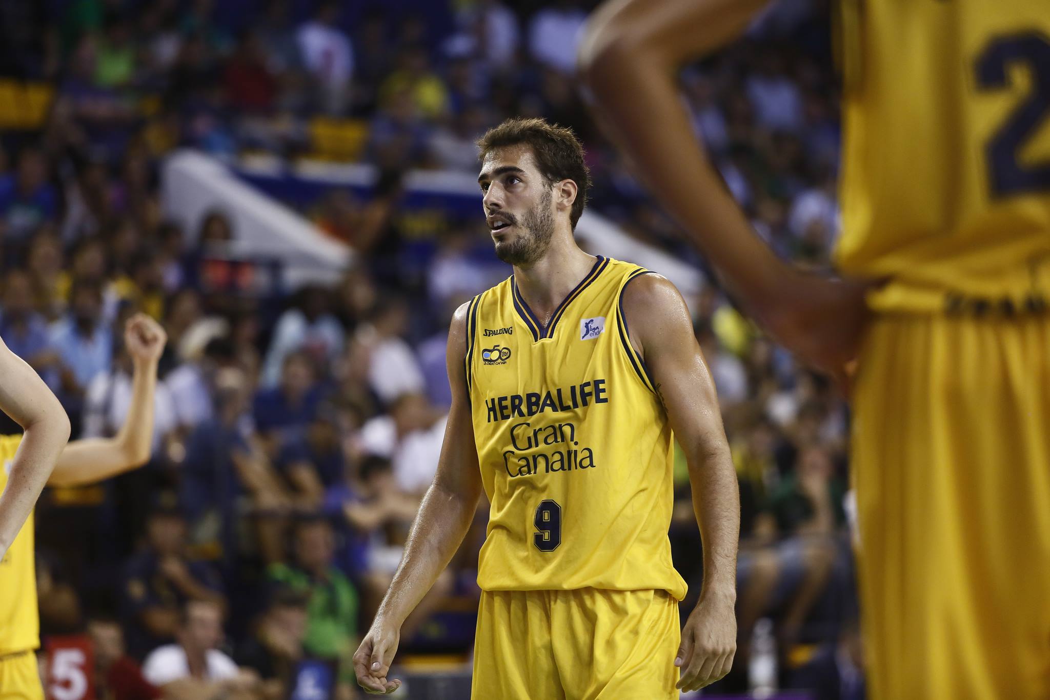 Añaterve Cruz, a Cáceres; Bàsquet Pla y CB Tarragona, primeras renovaciones