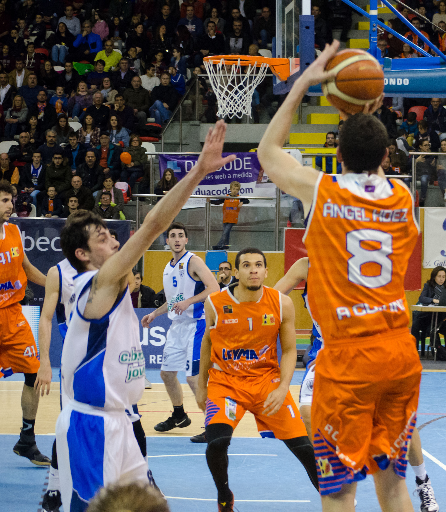 Leyma Coruña y Breogán caen. Araberri doblega al lider con un Iván García estelar