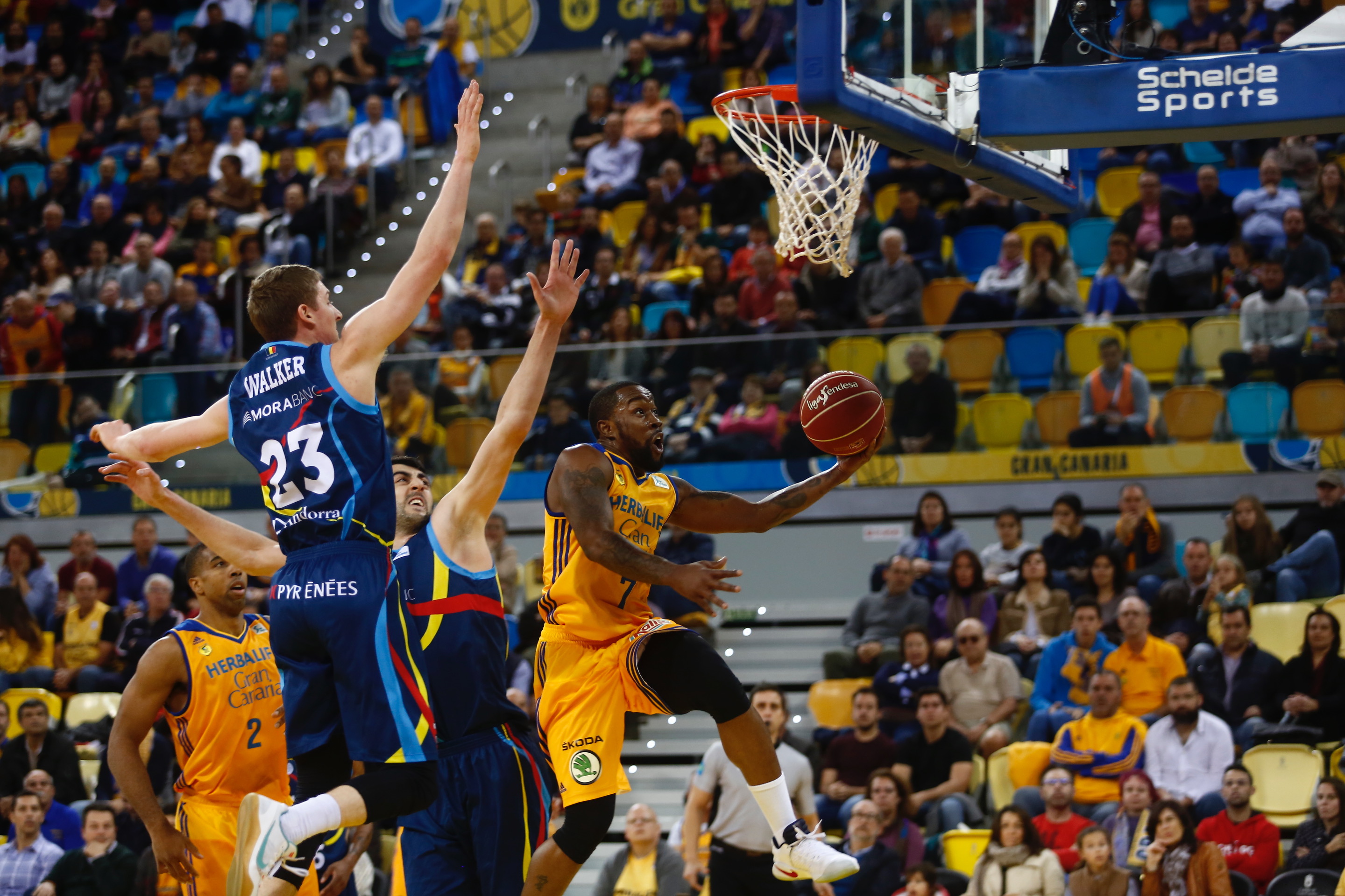 Bo McCalebb y Richard Hendrix no continuarán en Herbalife Gran Canaria