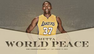 ¿Se retira Metta World Peace?