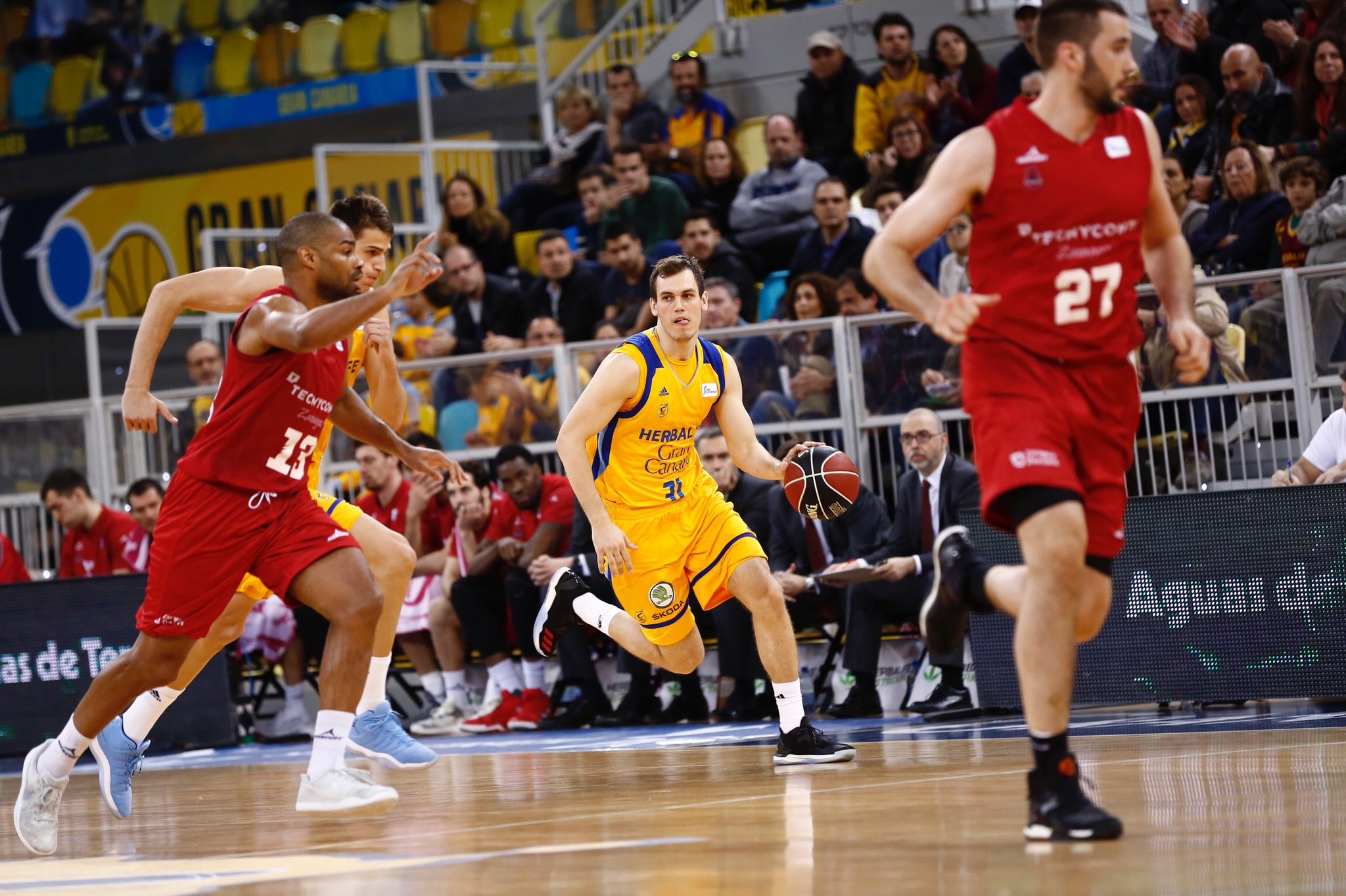 Nikola Radicevic vuelve a Gran Canaria