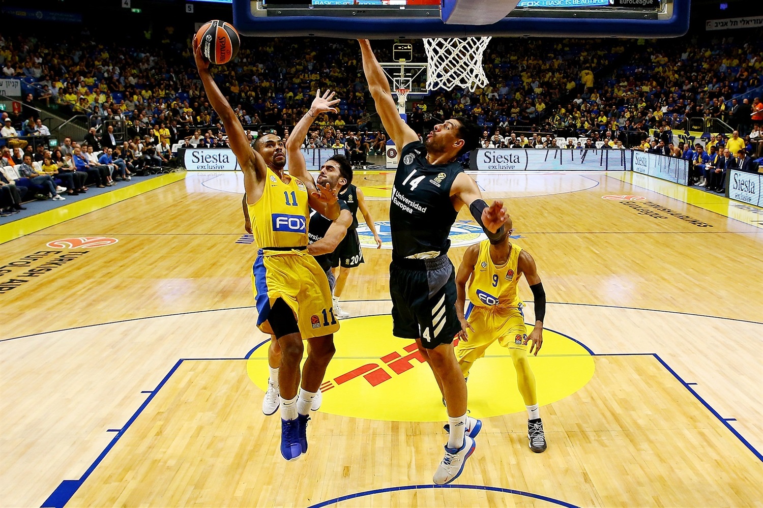 Sb Eu: Resúmenes Lega Serie A y easyCredit BBL. Sessions sale de Maccabi