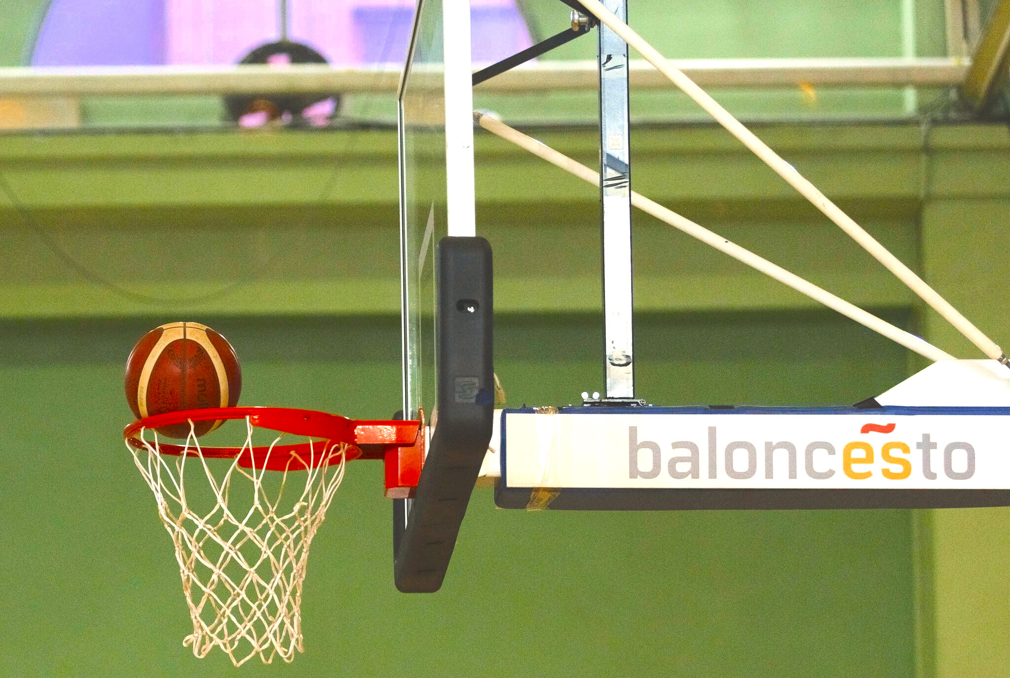 Las armas de la selección