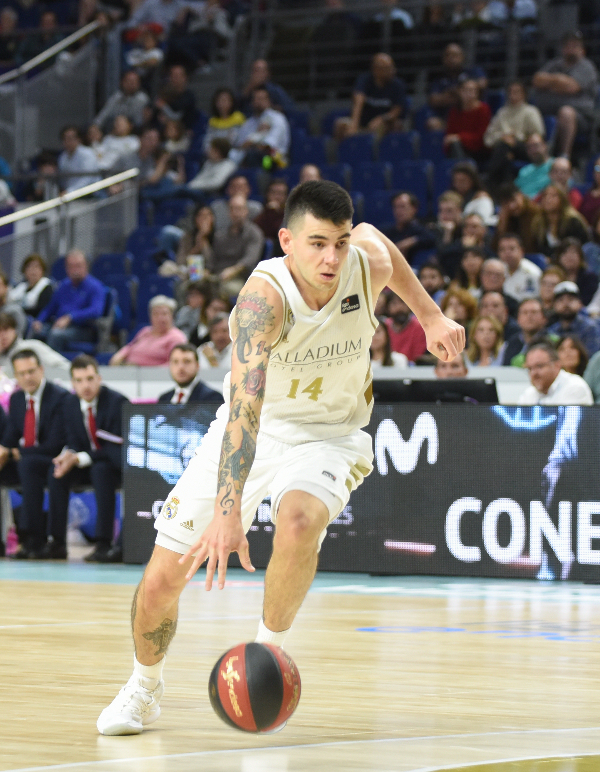 Deck podría abandonar el Real Madrid, Alocén cuenta y hay negociación con Thompkins