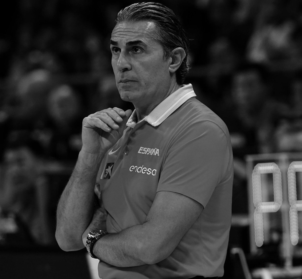 Entrevista a Sergio Scariolo: “El relevo generacional (en la selección) ya ha empezado”