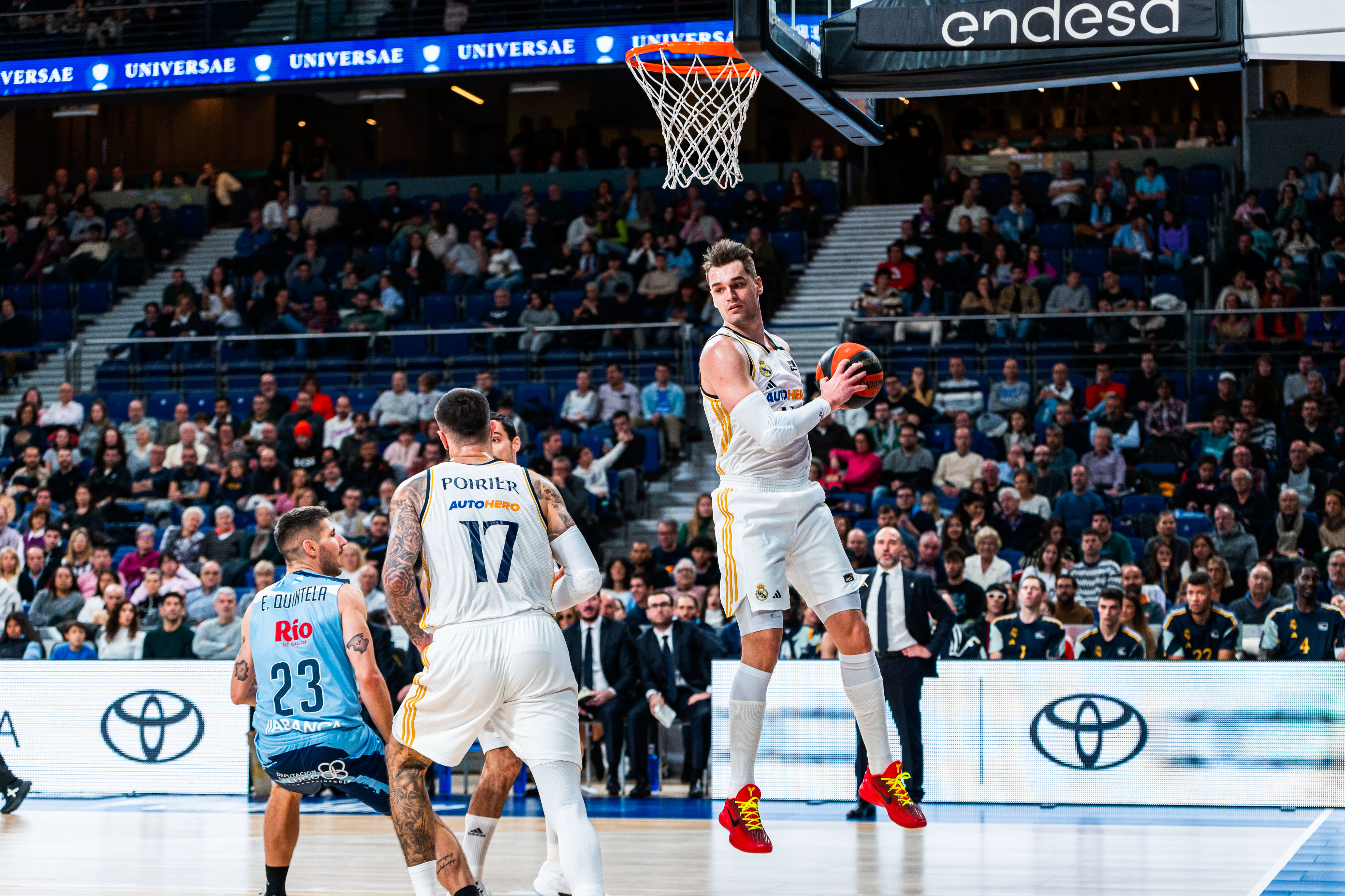 El protagonista del Real Madrid del que todo el mundo habla: no es Campazzo ni Tavares