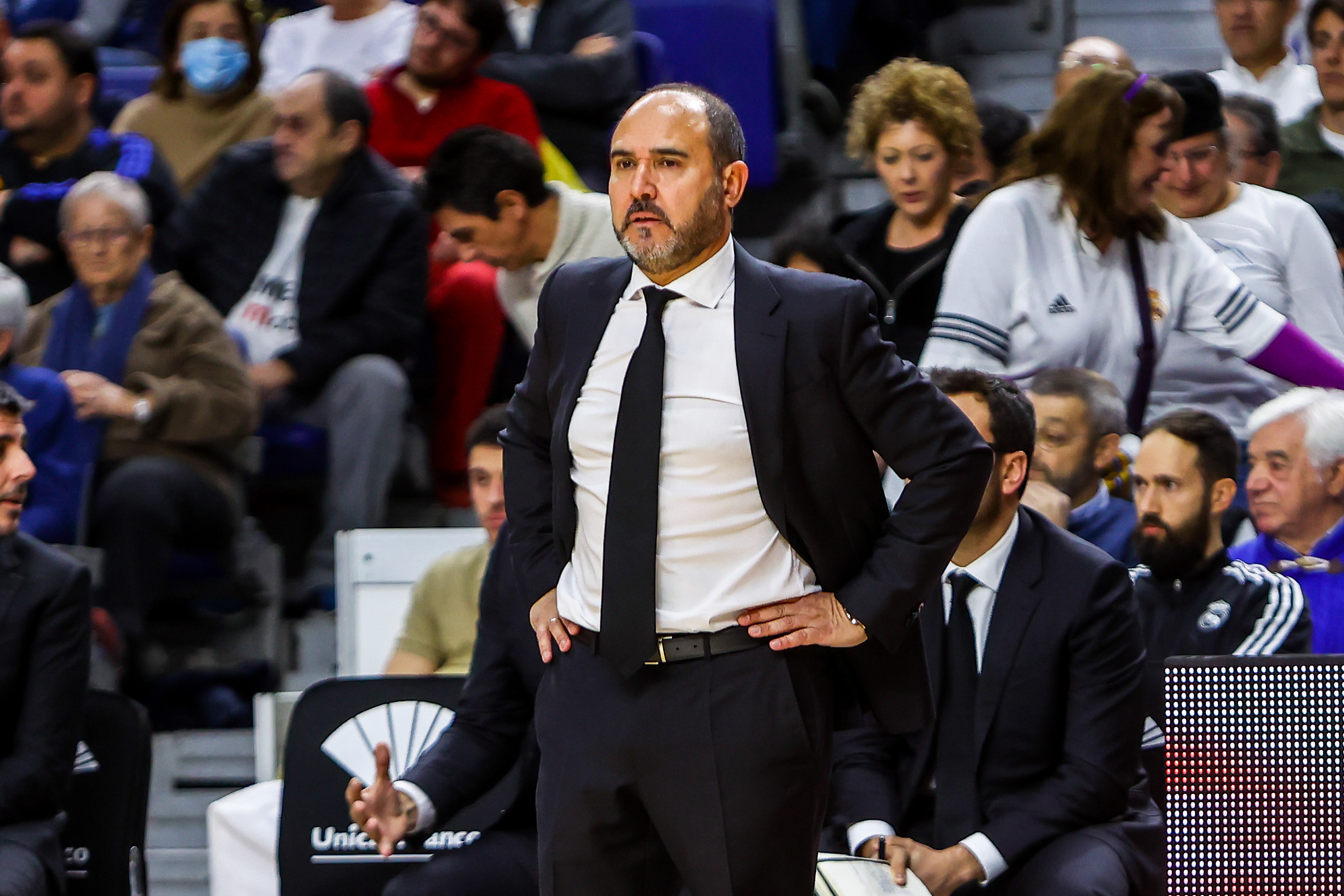 Chus Mateo sobre Jasikevicius y las renovaciones del Madrid: “esté quien esté”
