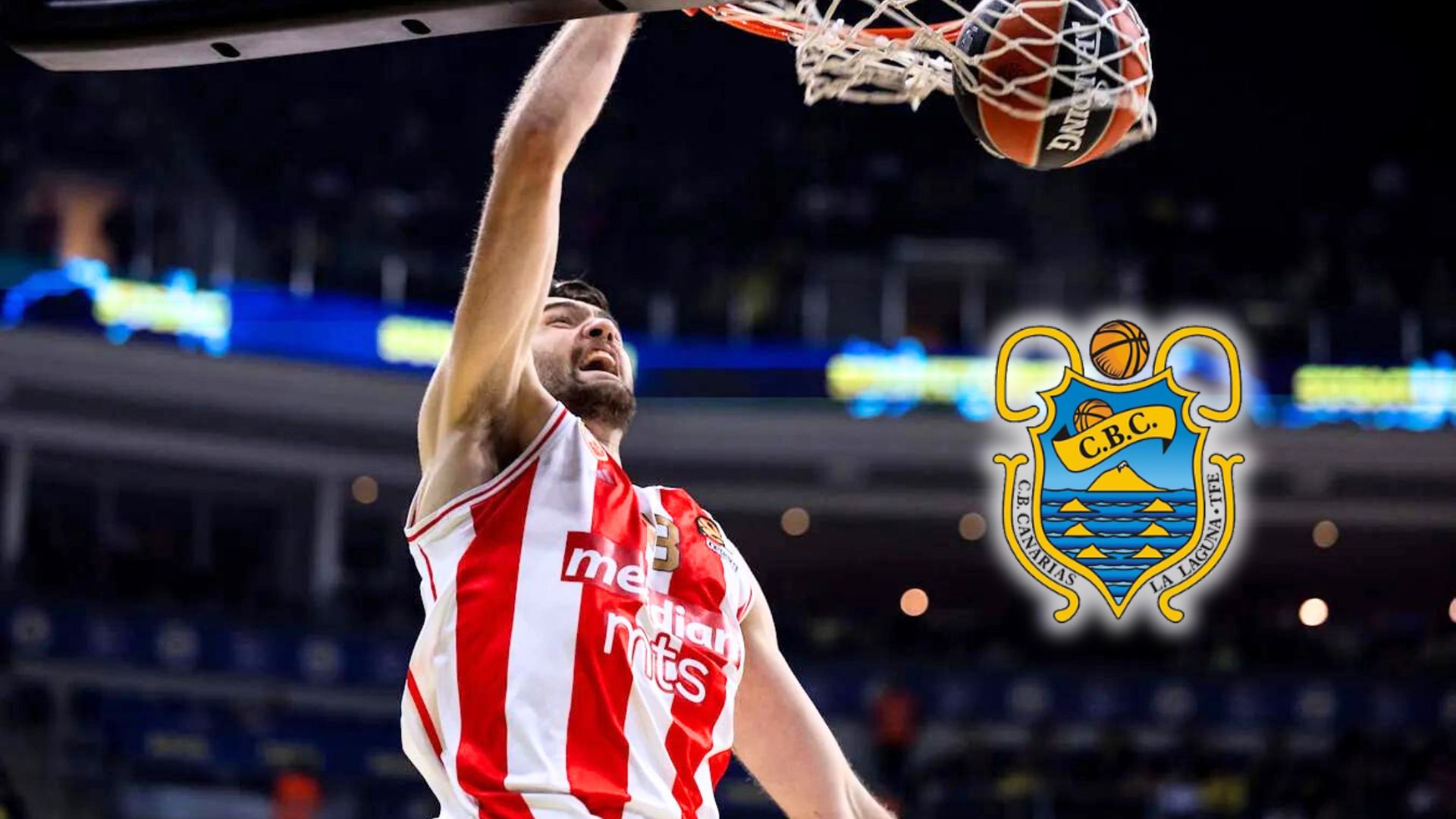 Vuelve a la órbita de Lenovo Tenerife tras cuatro años en Euroliga