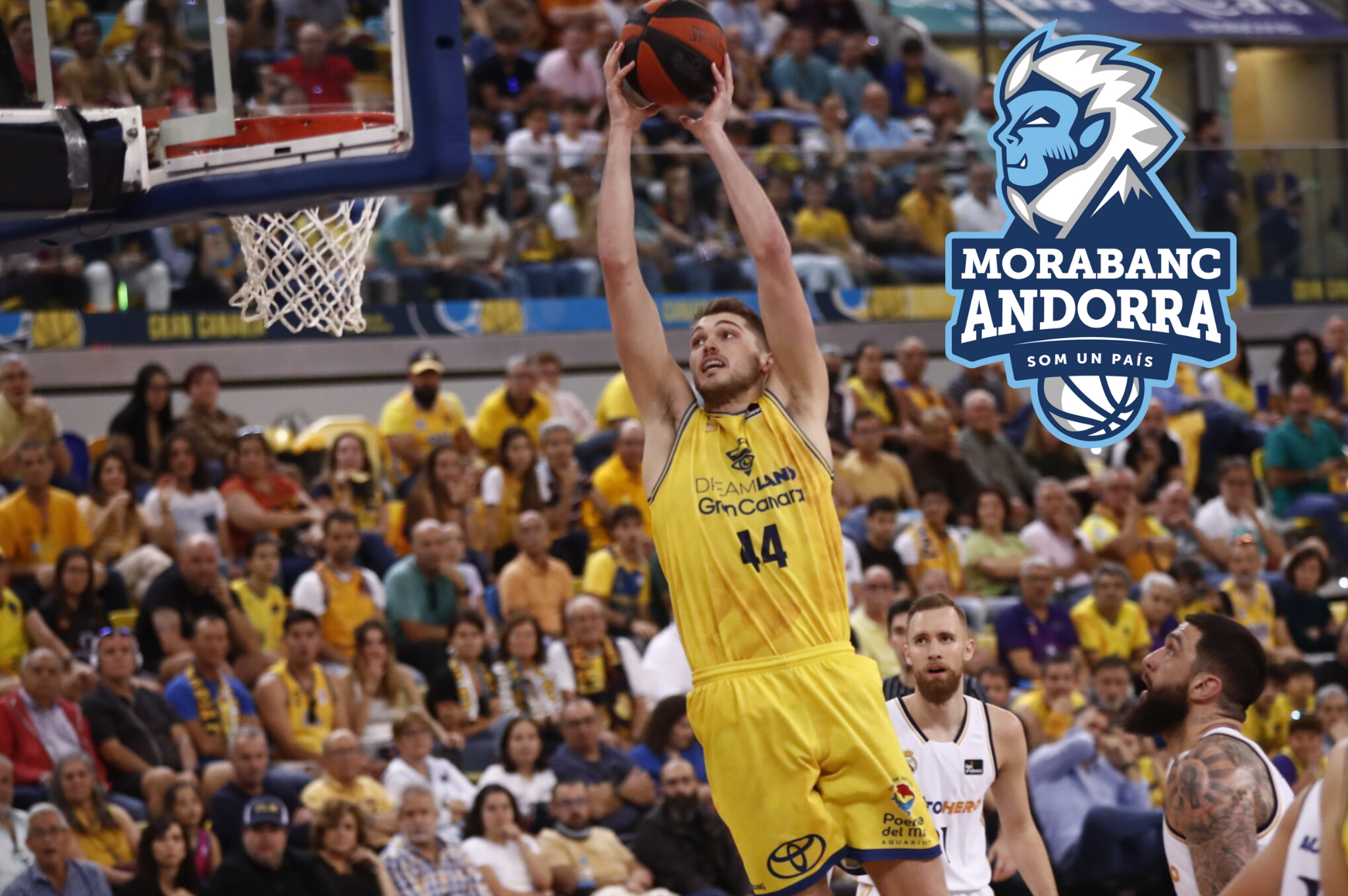 MoraBanc Andorra ya tiene a su pívot con pasado en Euroliga