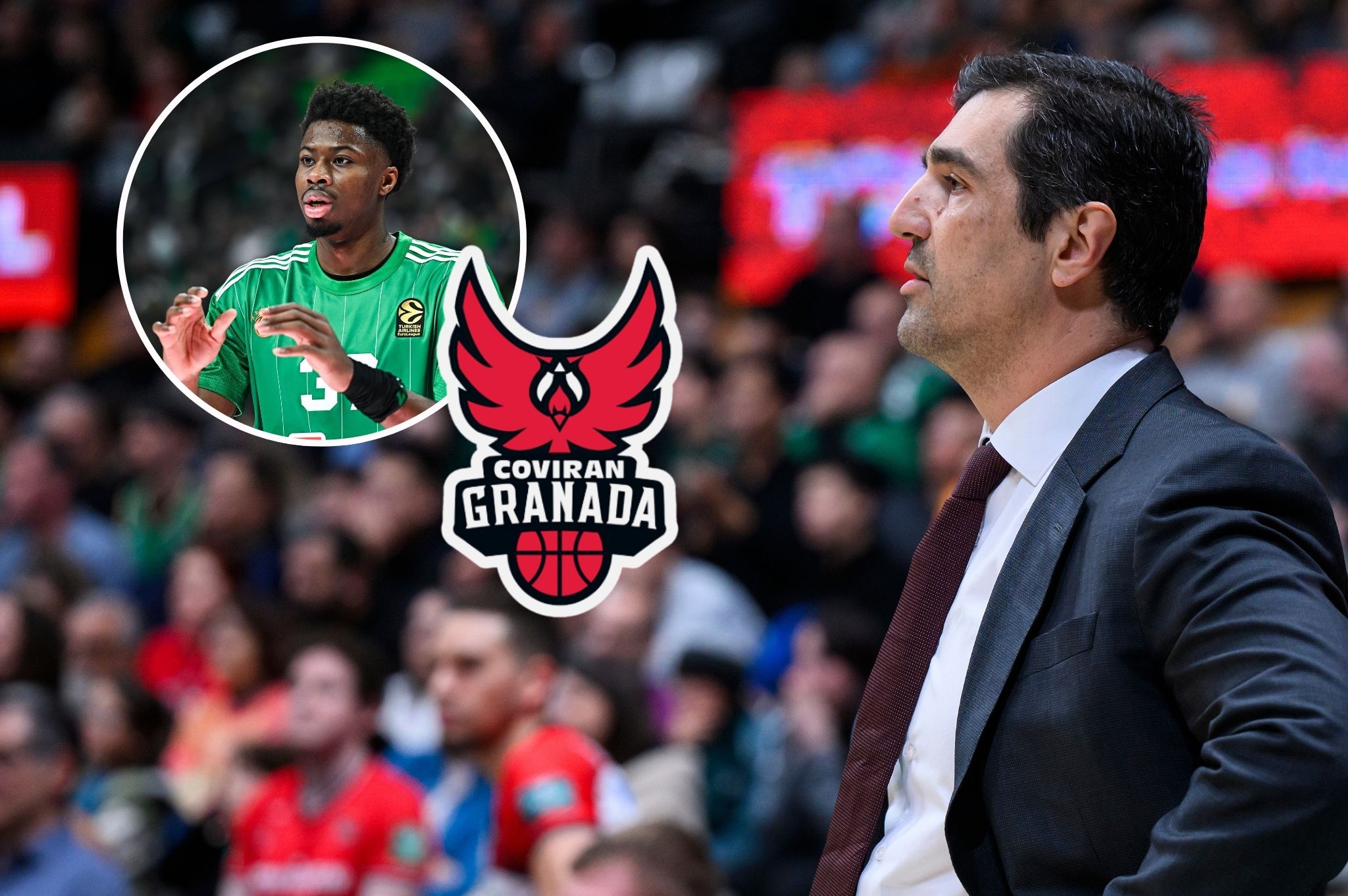 Rumores ACB baloncesto: Coviran Granada busca un pivot y pregunta en Panathinaikos