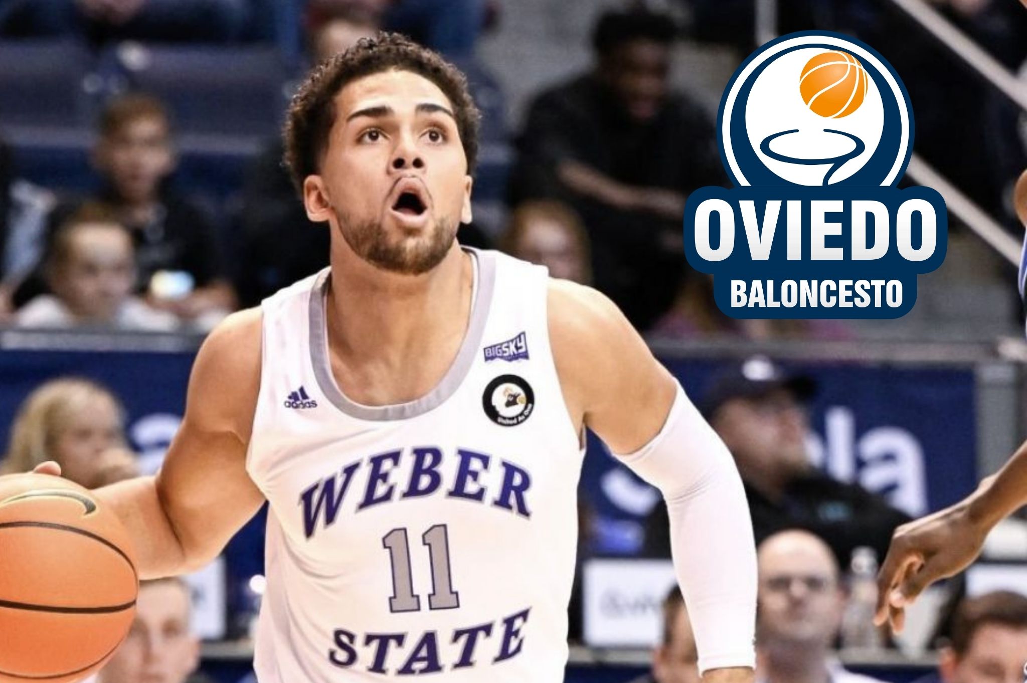 Fichajes Primera FEB de baloncesto: Un combo-guard de futuro para Alimerka Oviedo