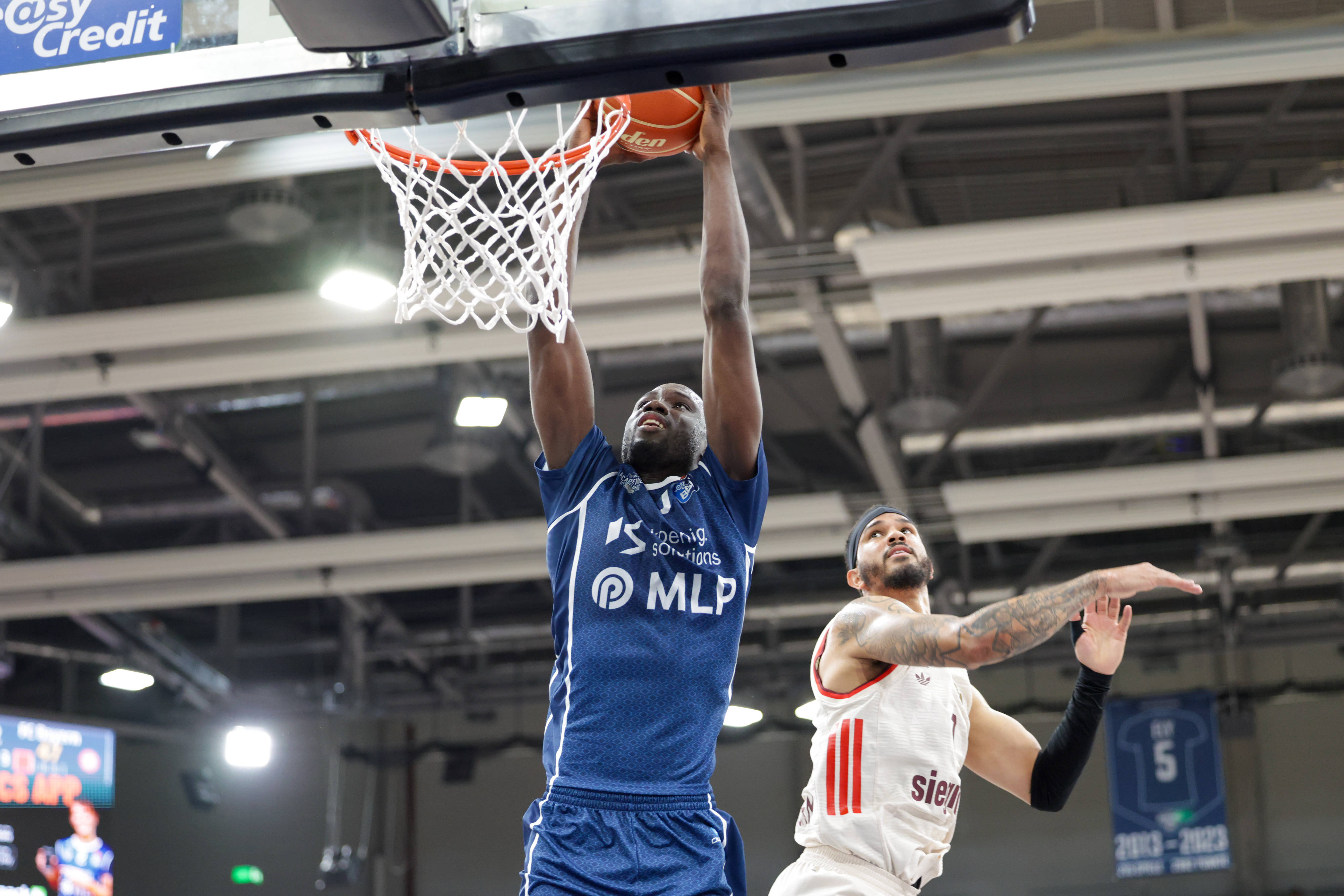 Breogán ya tiene su fichaje sorpresa: encaje perfecto para Casimiro