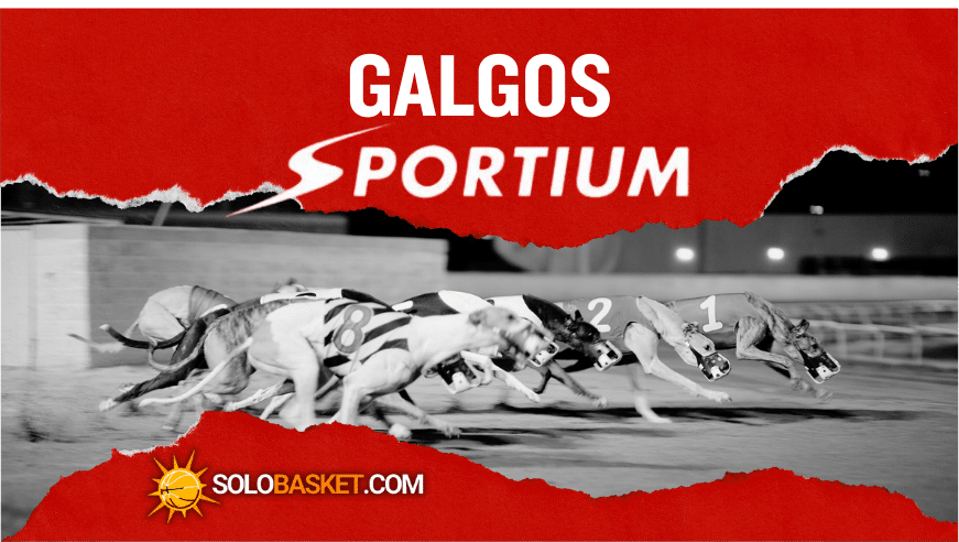 Sportium galgos: todo lo que debes saber