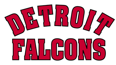 Memorias extintas (I): Detroit Falcons