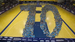 Movistar Estudiantes, la entidad con más equipos federados de la Comunidad de Madrid