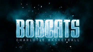 Hasta la temporada que viene: el inicio de la madurez de los Charlotte Bobcats