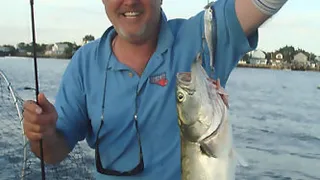 Tim Shea deja Korea tras presenciar una agresión; antes podía haber recalado en el Lobos