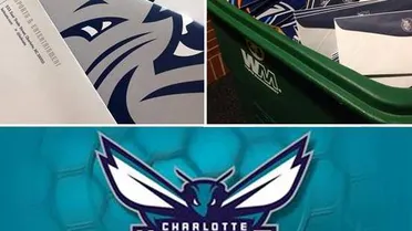 Charlotte recupera el aguijón de los Hornets