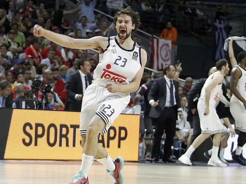 Kevin McHale: “El fichaje de Sergio Llull sería enorme”