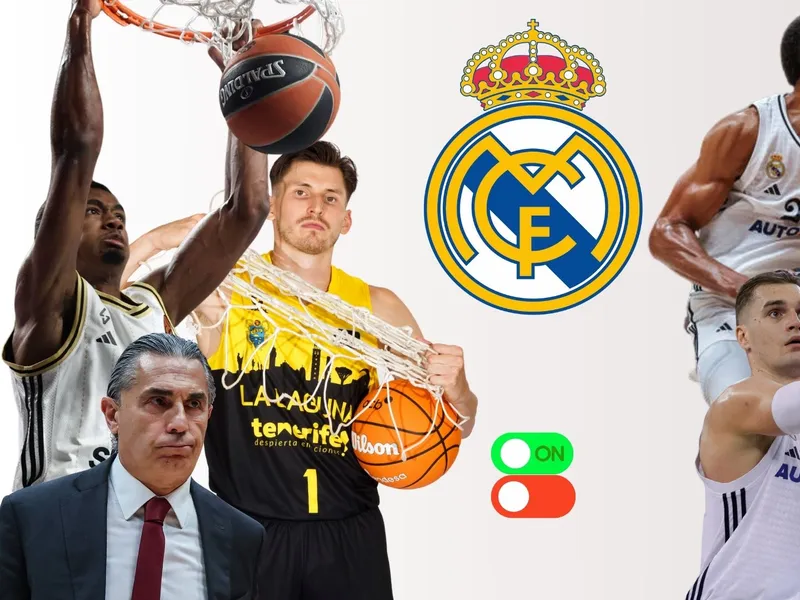 Todos los fichajes del Real Madrid de baloncesto