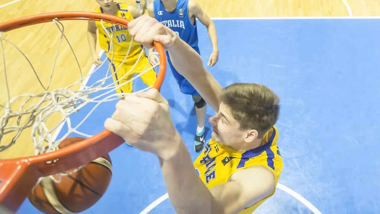Zoco ACB: La Penya ficha a la promesa sueca Simon Birgander; el Granca, Eriksson por Salin