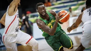 Niang, otro senegalés para el GBC. De Ciman, Fontet y Nguirane también jugarán en Oro
