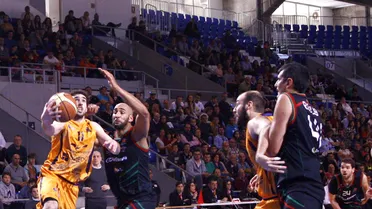 Palma se complica unos playoffs en los que estarán Oviedo y Breogán