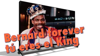 Vídeos: Bernard forever, porque tú eres el King