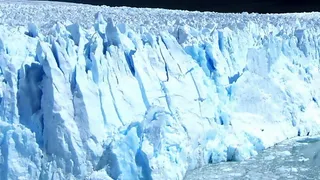 El General Invierno: Maurice Podoloff