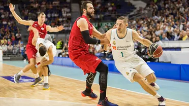 Fabien Causeur: “Debemos volver a la senda de las victorias y sabemos cómo hacerlo”