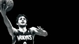 Un nuevo lobo en Minnesota