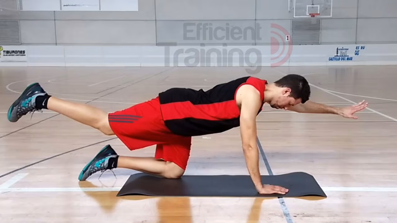 Cómo entrenar la zona media o core para el baloncesto