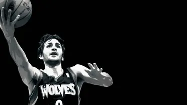 Un nuevo lobo en Minnesota